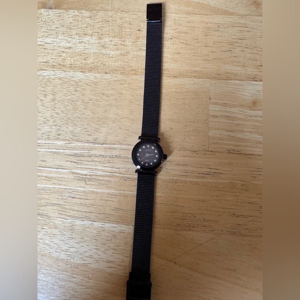 Skagen Woman’s Watch